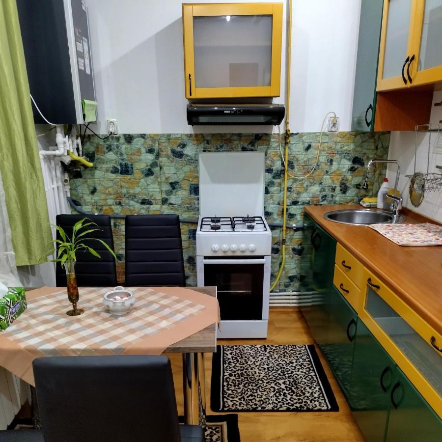Apartament Camelia Petroşani Buitenkant foto