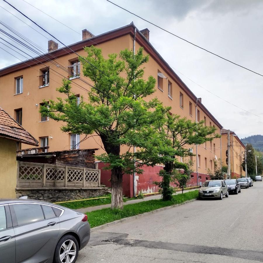 Apartament Camelia Petroşani Buitenkant foto