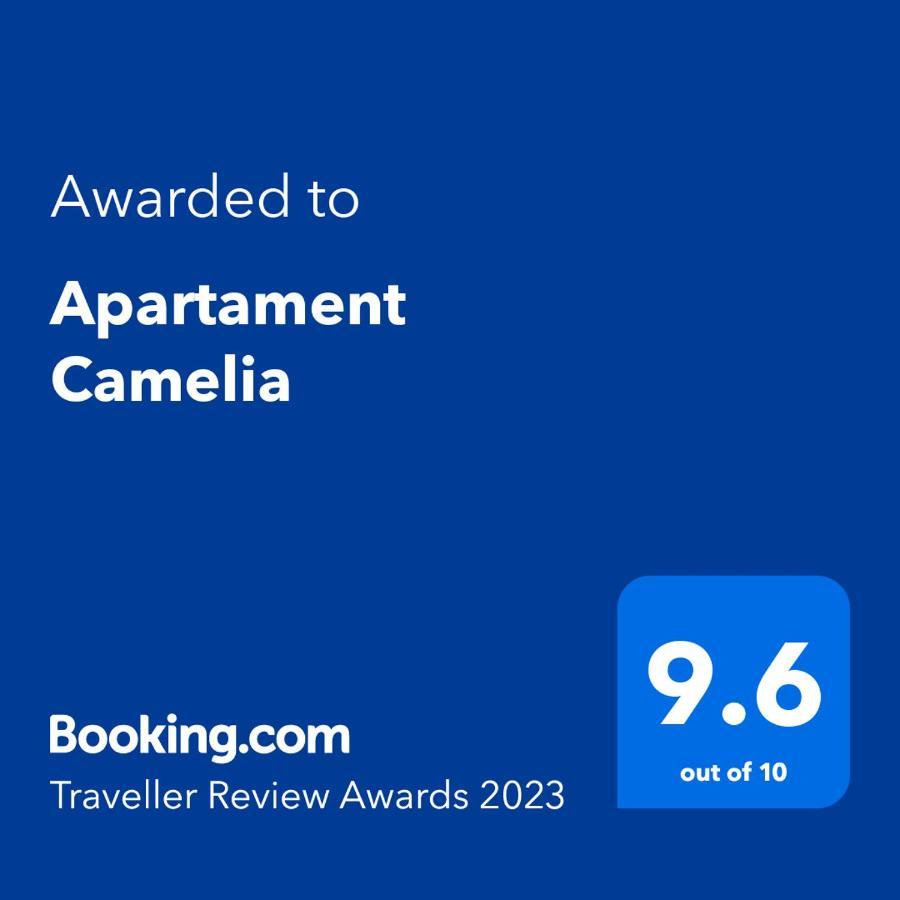 Apartament Camelia Petroşani Buitenkant foto